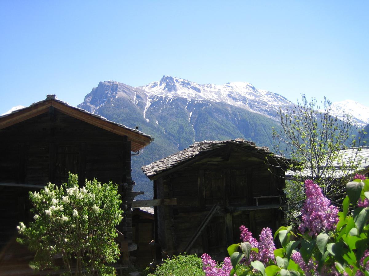 Bergquell Haus D Lägenhet Blatten bei Naters Exteriör bild