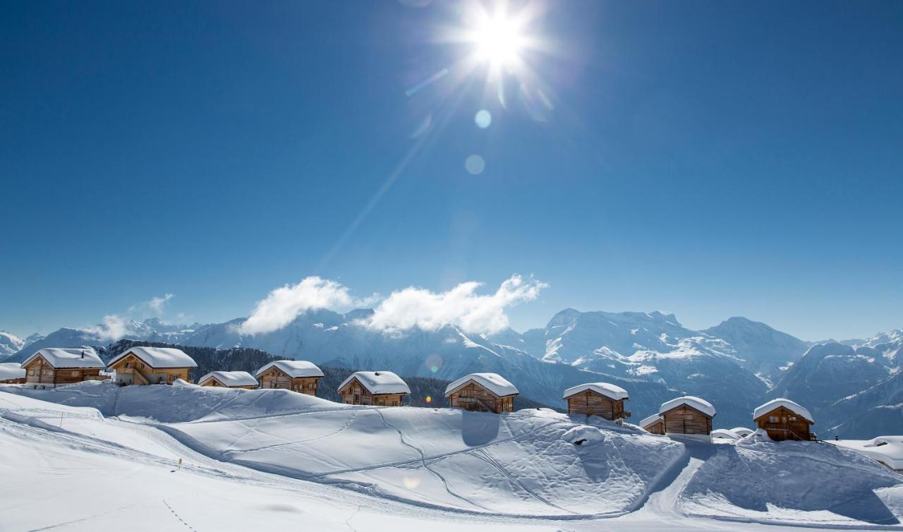 Bergquell Haus D Lägenhet Blatten bei Naters Exteriör bild