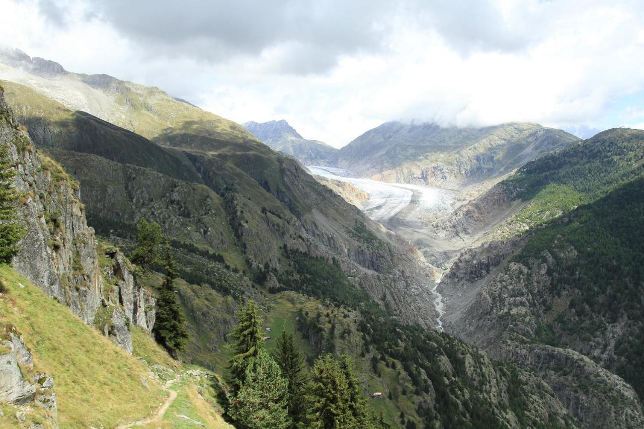 Bergquell Haus D Lägenhet Blatten bei Naters Exteriör bild