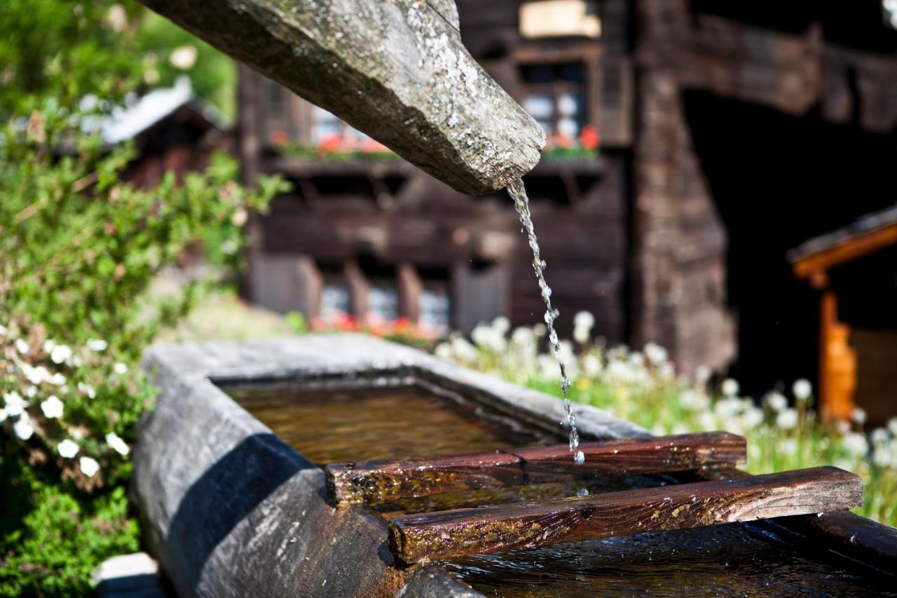 Bergquell Haus D Lägenhet Blatten bei Naters Exteriör bild